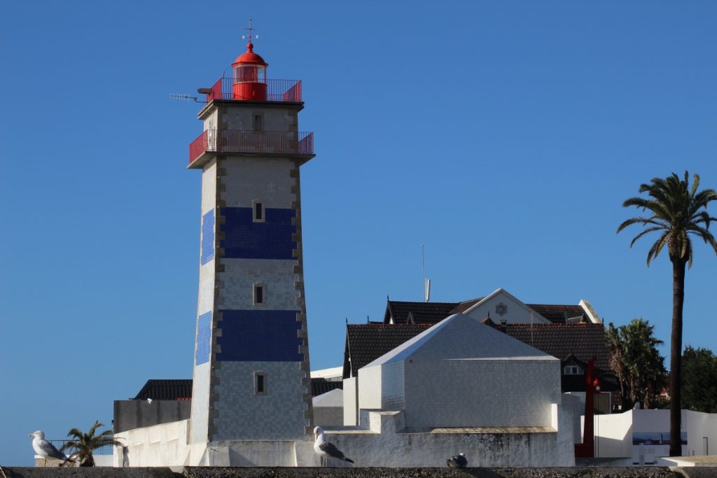 Farol e gayvotas